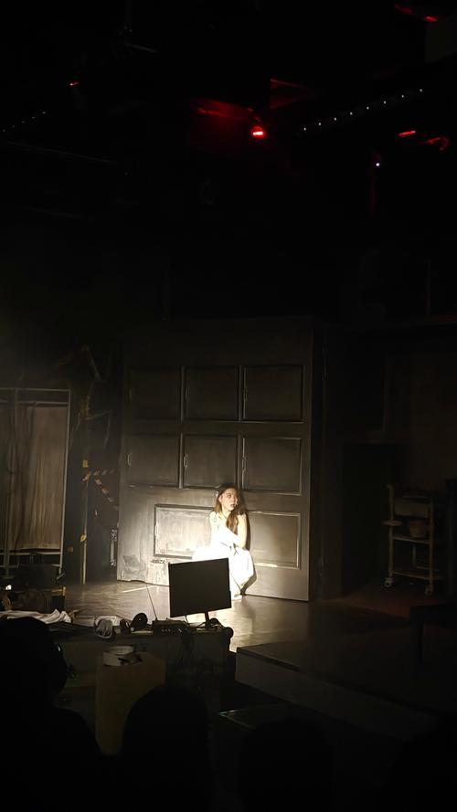 探讨《昏暗之声》的下载方法与注意事项