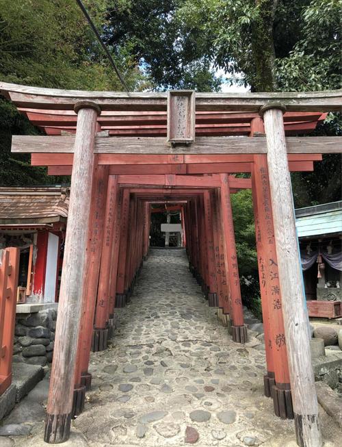 深入探索五谷神稻荷：Inari游戏的魅力与挑战