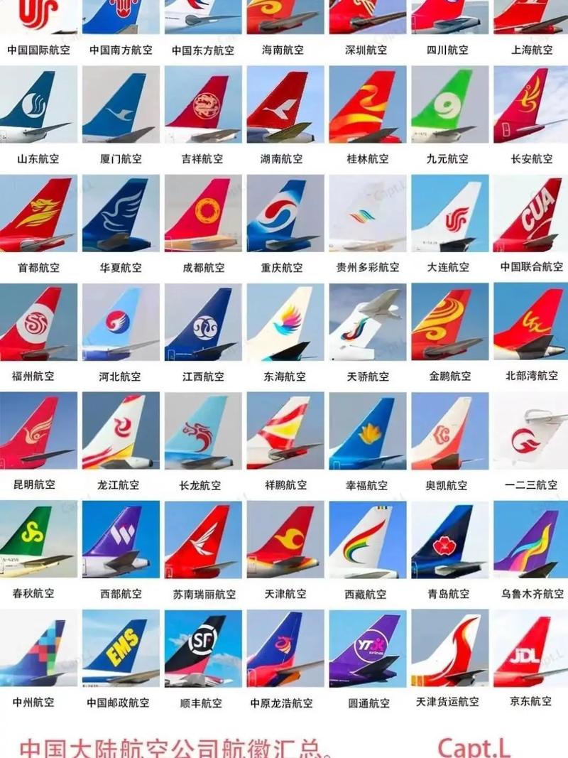 航空公司的在哪下载：探索资源与平台的深度分析