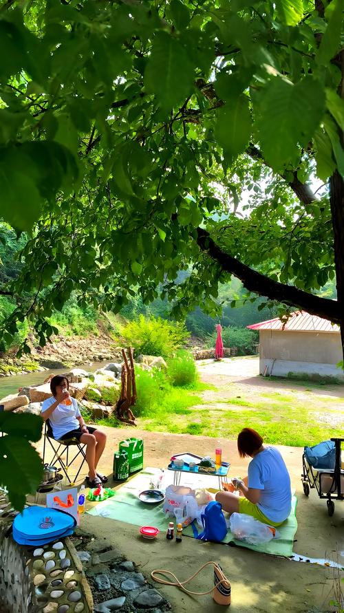 探索乡村生活的快乐暑假：下载与体验的深度分析