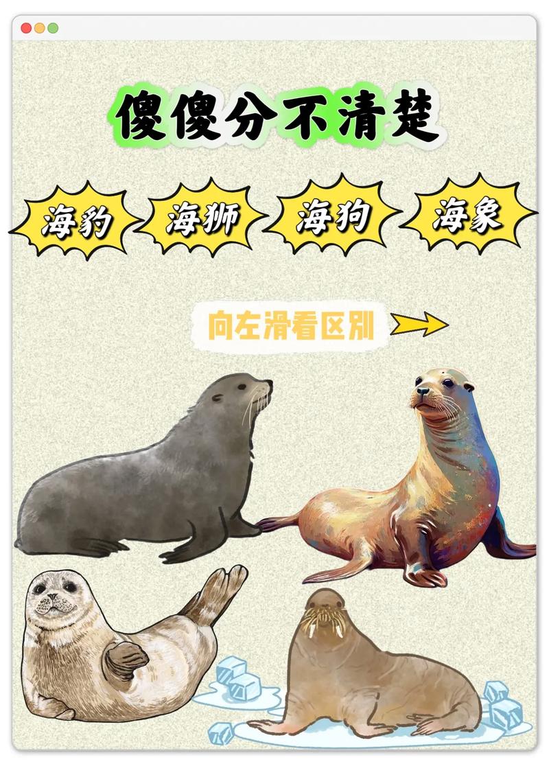 海豹社30部合集分析：作品特色与获取途径