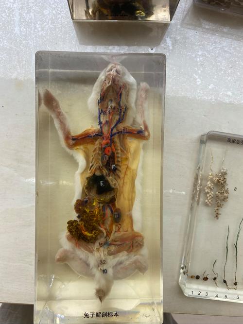 揭开“侦探模拟器”官方正式版的神秘面纱：最新下载与游戏深度分析