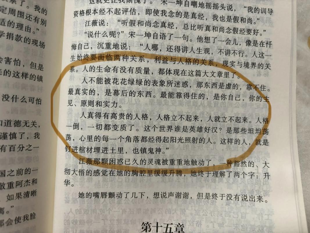 深度解析《背叛Betrayed》：从游戏机制到用户体验的全面分析