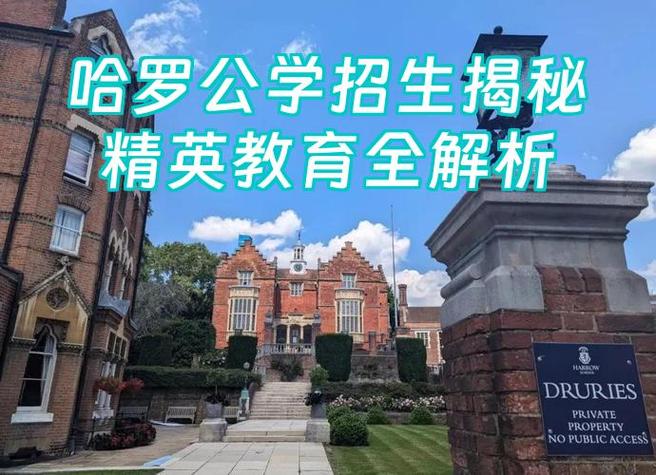 深入解析《精英花园安卓》：游戏机制与玩家体验的深度分析