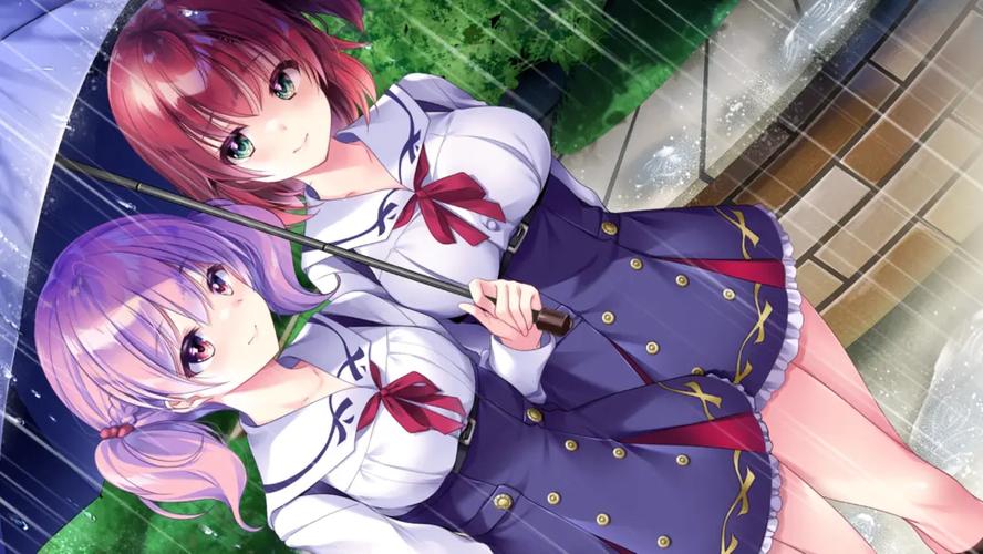 少女之剑与秘密的协奏曲：绅士游戏的深层解析与市场影响