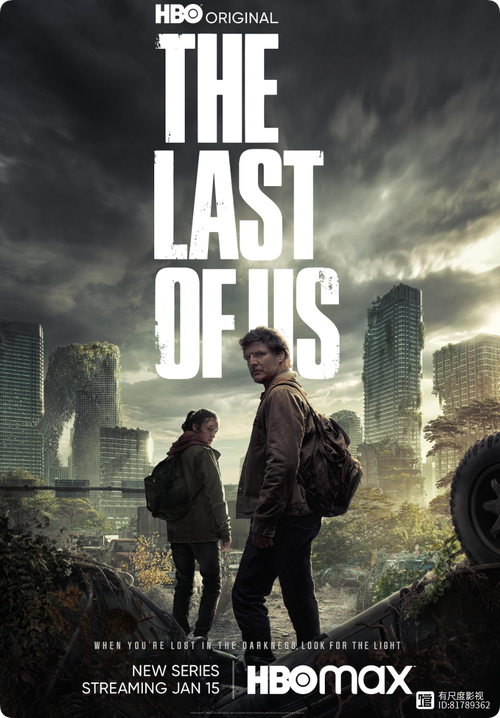 探索《末世余生》：安卓平台的生存挑战与策略分析