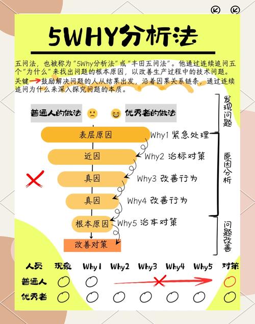 深入分析：五日寸止下载安卓的市场潜力与用户体验