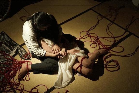 深入探讨《欲望的束缚》官方正式版下载最新版的魅力与挑战