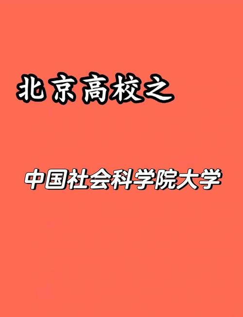 全方位解析：我的大学生活版本大全及其背后的文化内涵