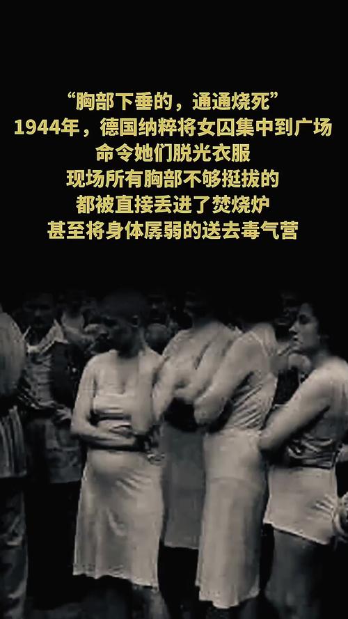 深度剖析：罪恶集中营下载安卓的游戏机制与玩家体验