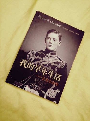 解析“我的早年生活”最新版本及其带来的游戏体验