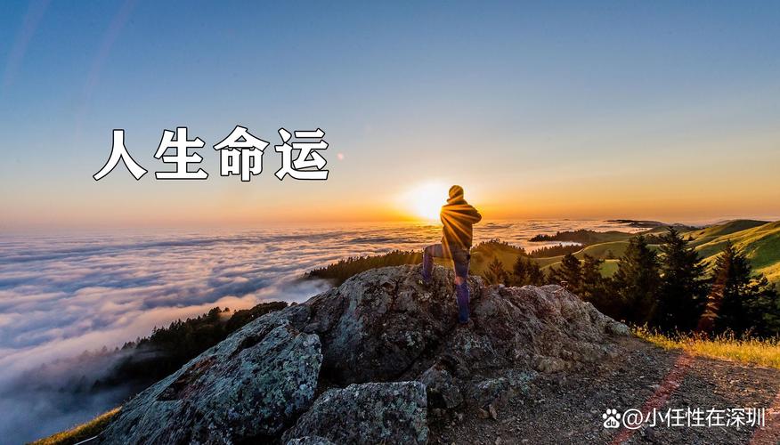 探索宿命论：如何安全下载与游戏体验提升