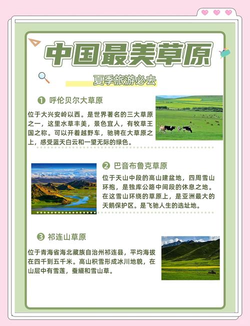 深入解析：青青草原游戏攻略的专业指南