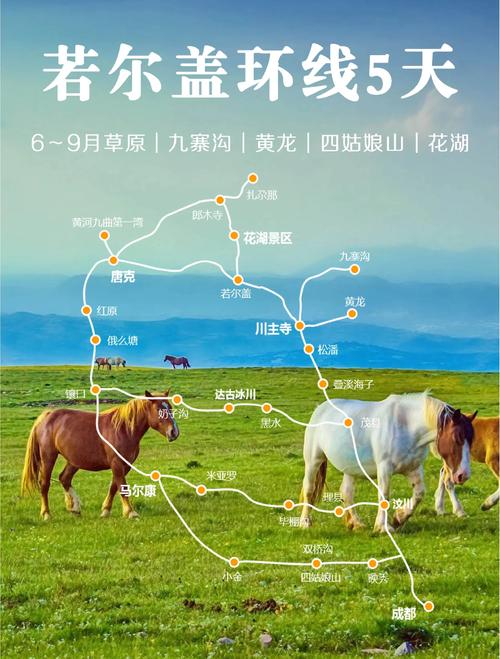 深入解析：青青草原游戏攻略的专业指南