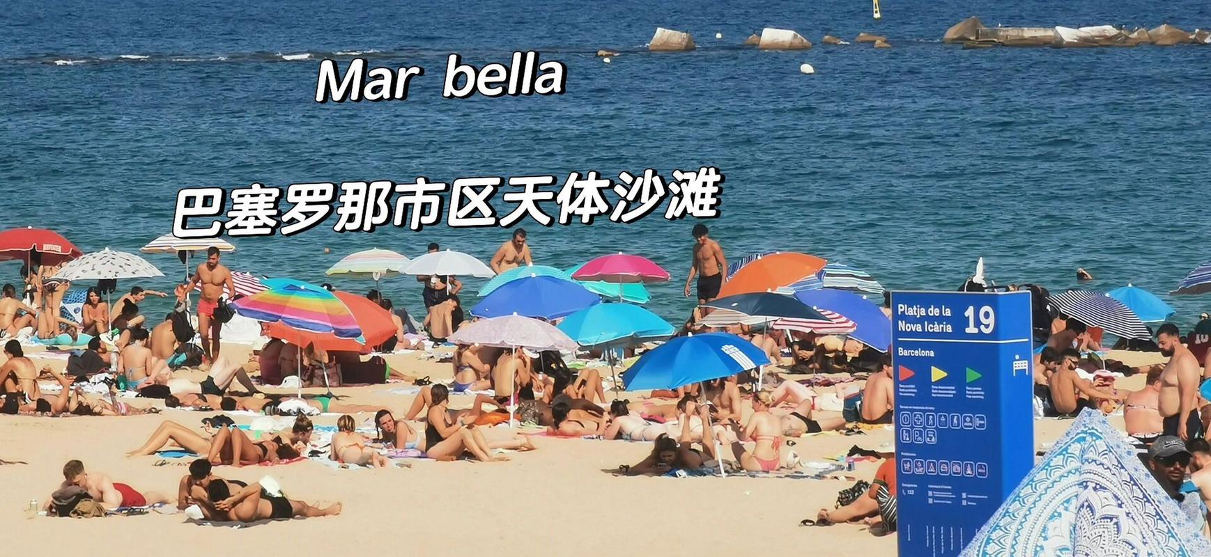 深入分析：性感沙滩游戏官网的魅力与市场潜力