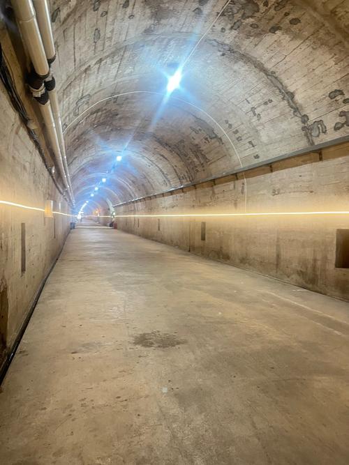 探寻“隧道逃生最新”游戏中的心理策略与挑战