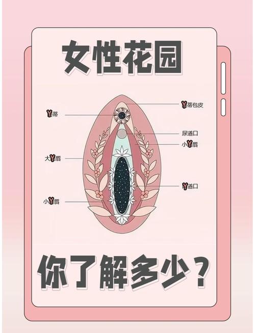 深入解析MM的密友安卓汉化：背景、技术与用户体验