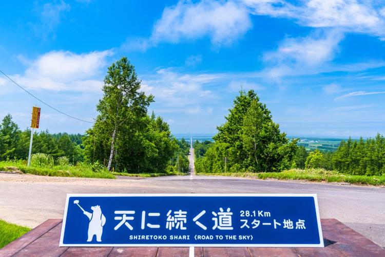 通往天堂的道路下载地址分析：从游戏机制到玩家体验