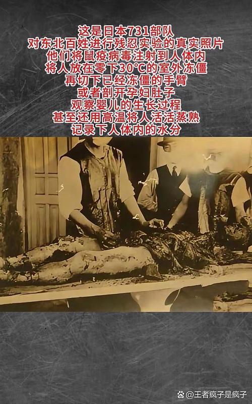 深入探讨：罪恶集中营的下载方法与注意事项