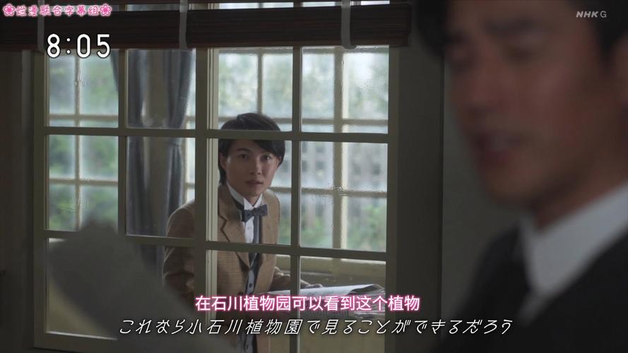 探讨《烂漫》最新版本的核心变化与玩家体验提升