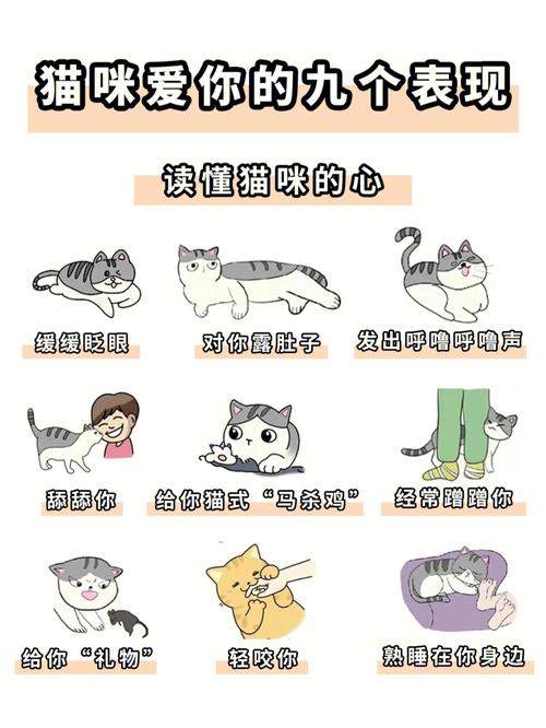 当你的猫咪下载地址：探索虚拟世界中的互动与情感体验