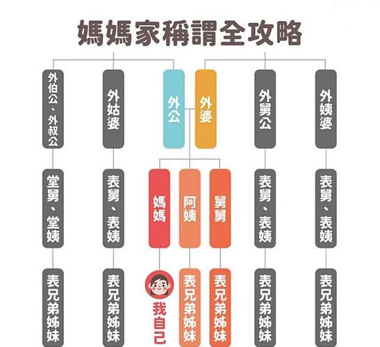 深入解析SOA亲妈姨妈歌手版汉化版下载的影响与前景
