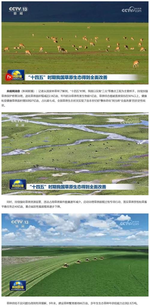 深入探讨：青青草原汉化版下载的市场影响与用户体验分析