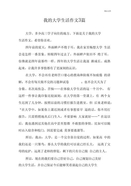 探讨《我的大学生活S3》：一场绅士游戏的深层次解析