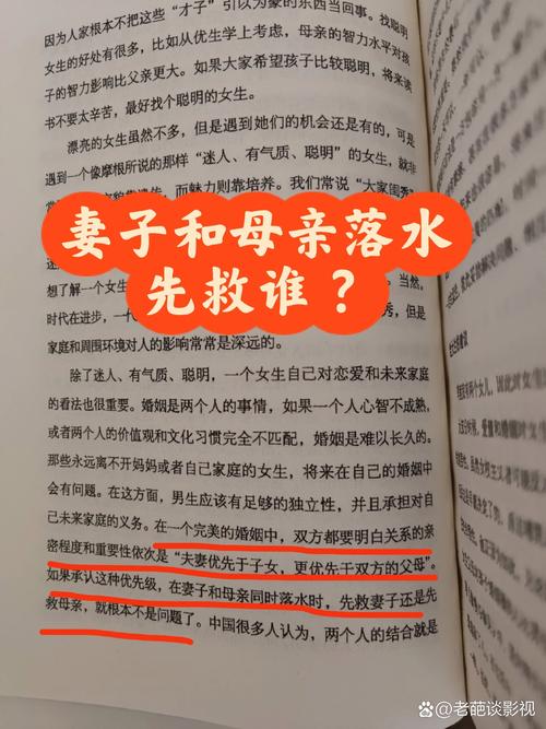 深度解析《妻子与母亲》官方正式版下载最新版的游戏机制与影响