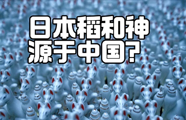 深入解析《五谷神稻荷：Inari最新》的游戏机制与文化内涵