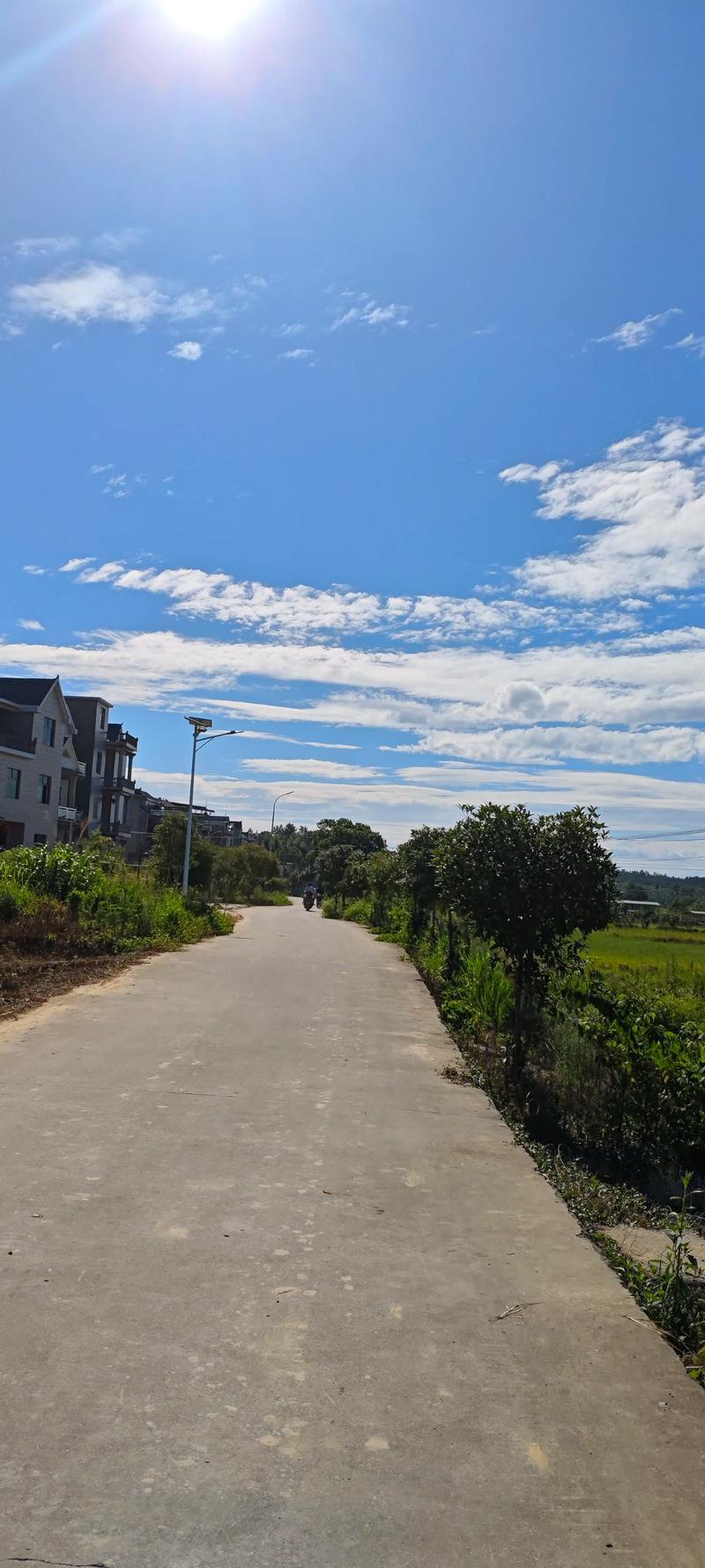 乡下生活官方网站：乡村生活与绅士游戏的交融分析