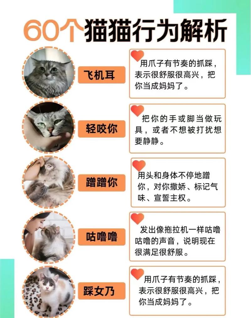 深入探讨：当你的猫咪游戏攻略与绅士游戏文化的交融