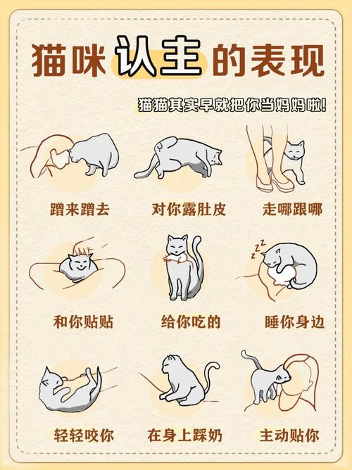深入探讨：当你的猫咪游戏攻略与绅士游戏文化的交融