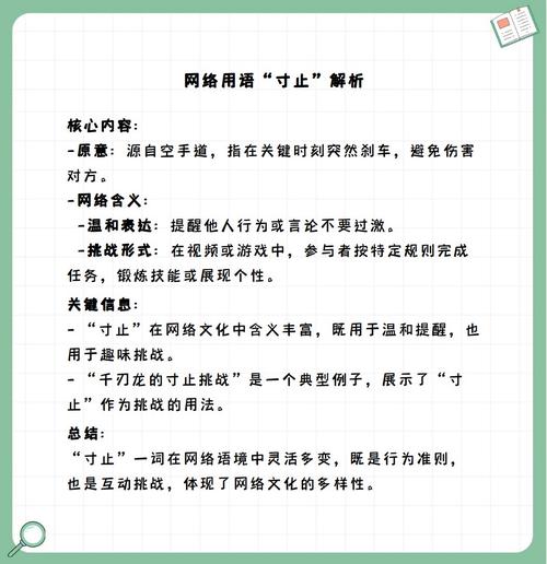 深入解析《五日寸止》最新版本：设计理念与玩法创新