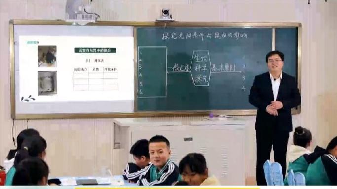 深入解析《韩老师的课后辅导》游戏攻略：掌握核心技巧与策略