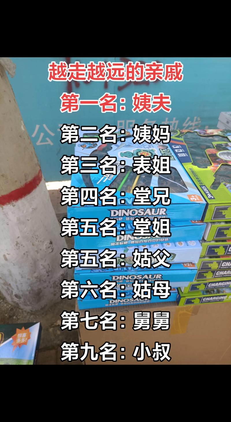 深入解析SOA亲妈姨妈歌手版汉化版下载的影响与前景