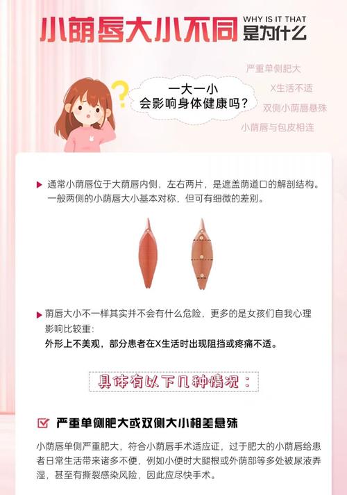 深入解析：SOA雌小鬼杨过游戏的设计与玩家体验