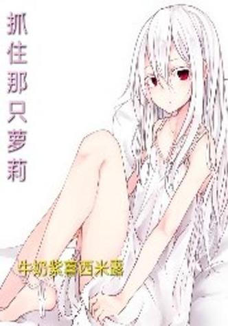 萝莉小说110本汉化版最新更新内容深度解析