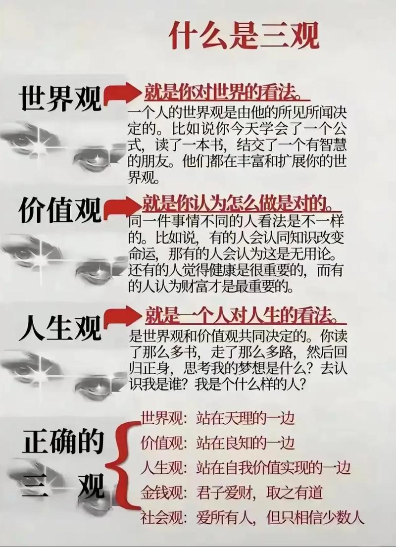 深度解析：华贵至上最新版本的特性与发展