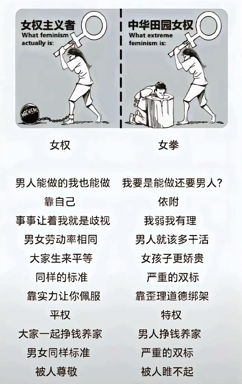 深入探讨女拳主义在安卓汉化游戏中的影响与发展