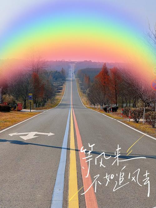 通往天堂的道路更新地址：深入解析与前景展望