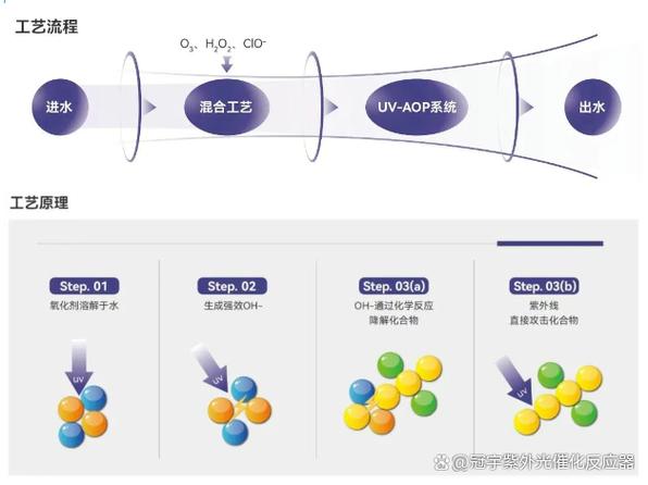 深度解析：SOA水上乐园下载地址的市场潜力与用户体验