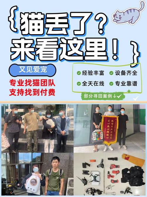寻找猫研社下载渠道的深度指南