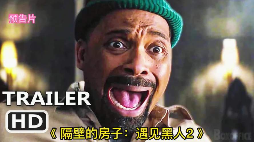 隔壁黑人官方正式版下载最新版的分析与展望
