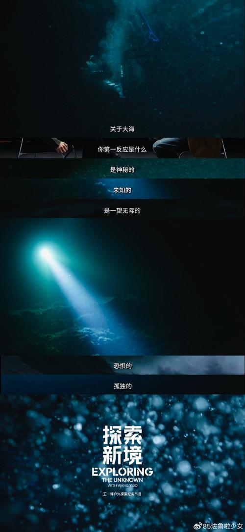 解锁摄影师的谎言：深入分析与实用攻略