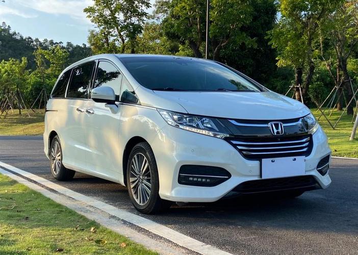 深度分析：欧派奥德赛汉化版下载的机遇与挑战