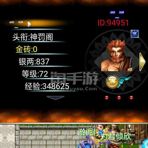 丹王V0.24安卓汉化深度分析：游戏体验的提升与文化适配