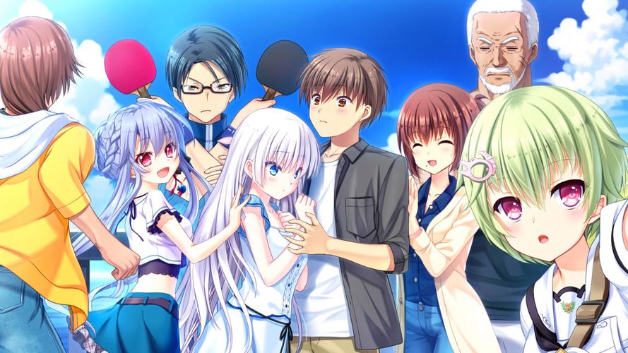 校花小冰安卓汉化的深度解析：文化、技术与市场策略