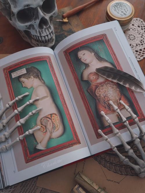 深入剖析维纳斯俱乐部欧美96版游戏下载的魅力与影响