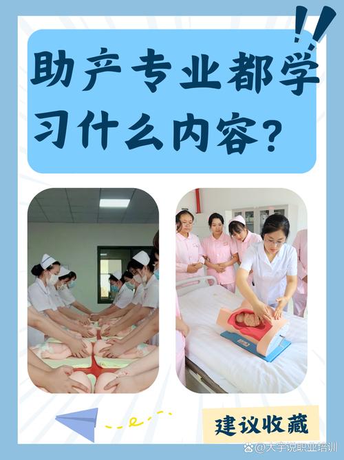 深入解析《援助妊娠学院3.1汉化版》最新更新内容及其游戏影响